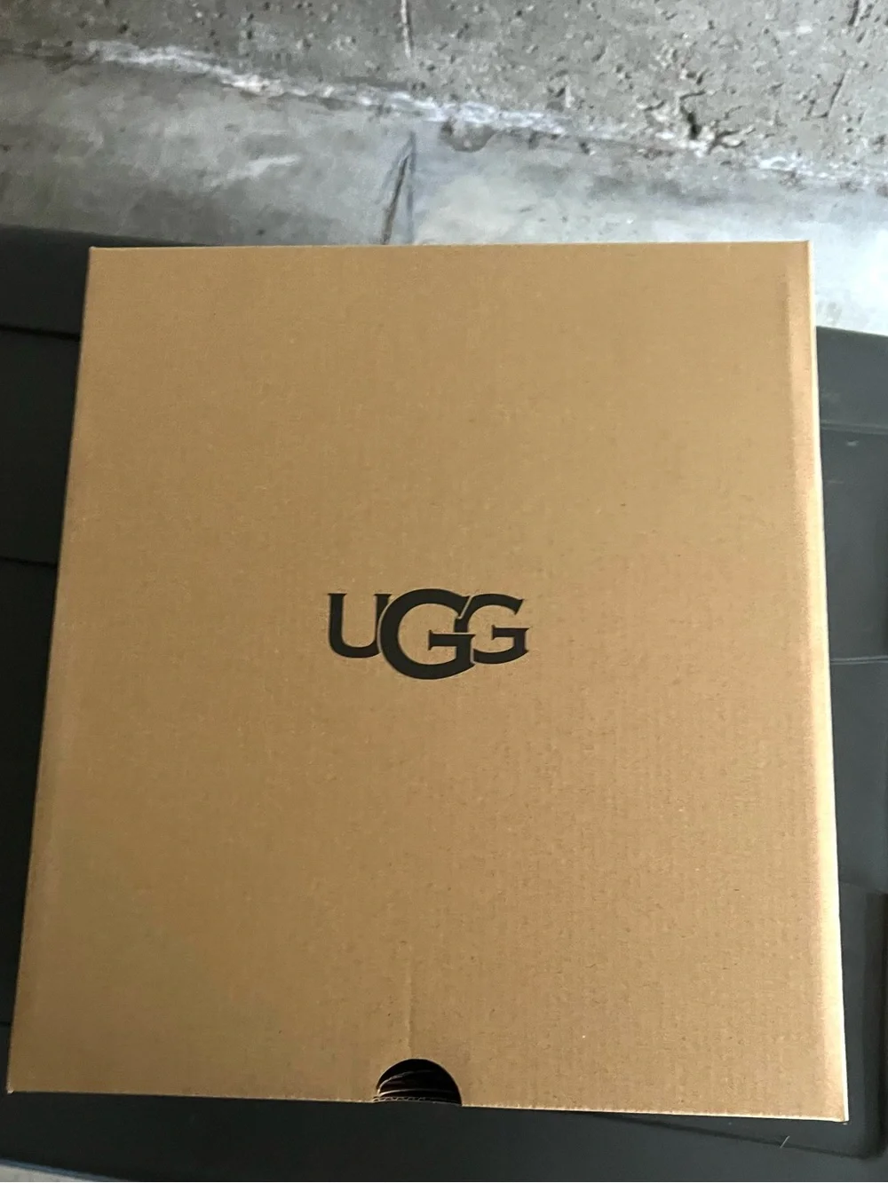 UGG Chestnut Classic Short Suede Boot